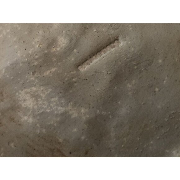 Michael Schlyer 1997 Flat Earth Pottery Southwestern Style Coyote Dog Plate 8" - Picture 6 of 6